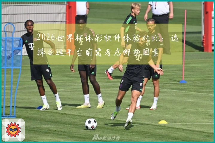 2026世界杯体彩软件体验对比，选择合适平台前需考虑哪些因素