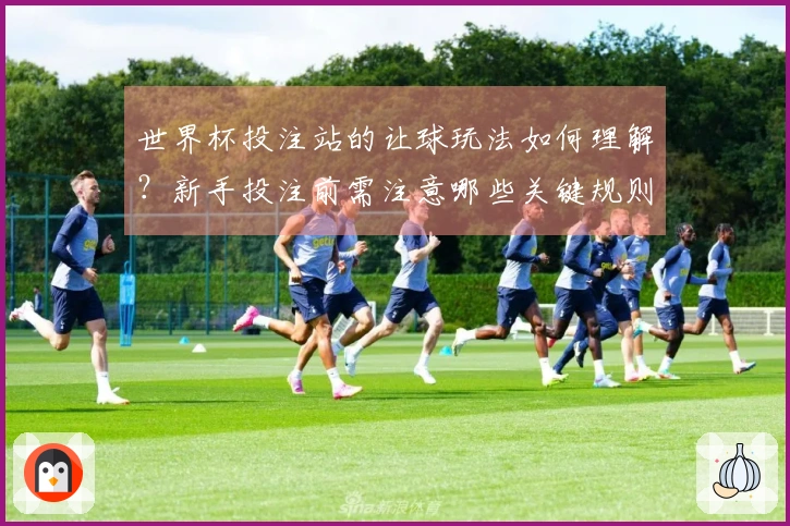 世界杯投注站的让球玩法如何理解？新手投注前需注意哪些关键规则？