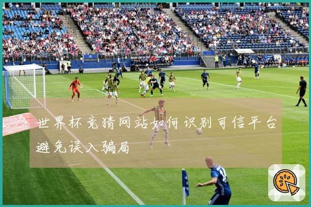 世界杯竞猜网站如何识别可信平台避免误入骗局