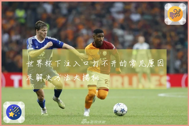 世界杯下注入口打不开的常见原因及解决方法大揭秘