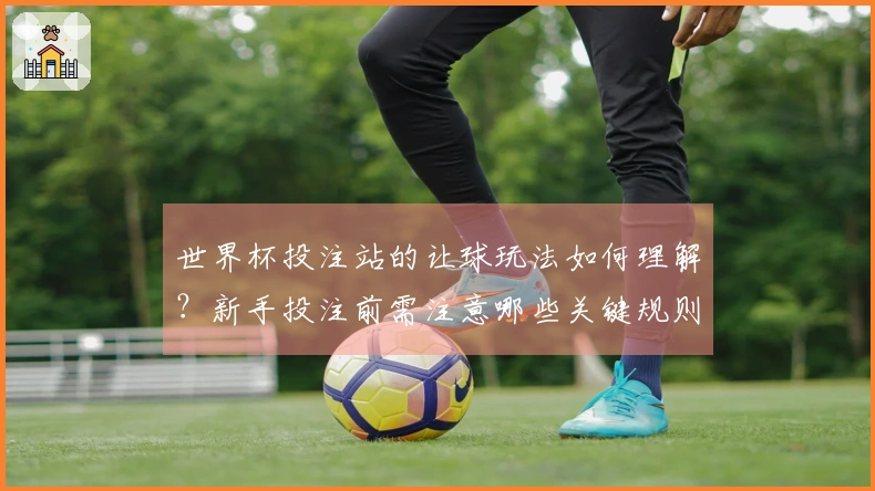 世界杯投注站的让球玩法如何理解？新手投注前需注意哪些关键规则？